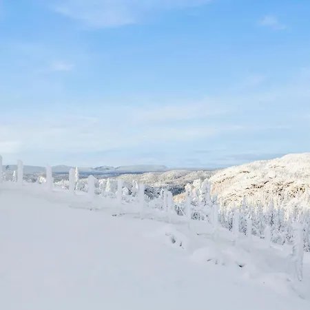 In With Kitchen * Reinli