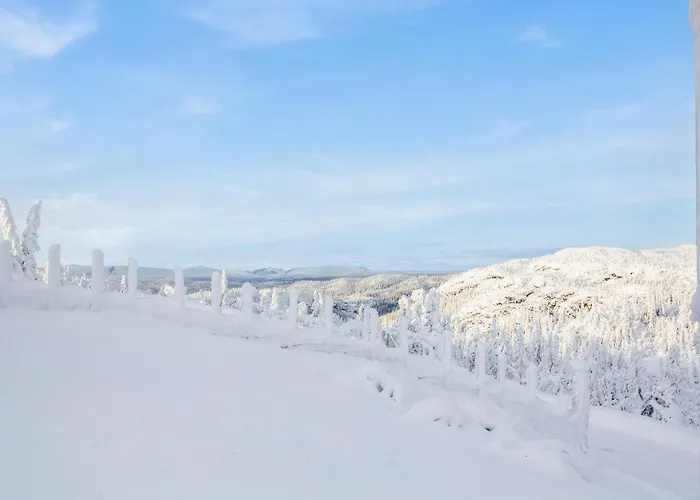 In With Kitchen * Reinli